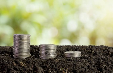 sikke para kavramı kaydetmek toprakta