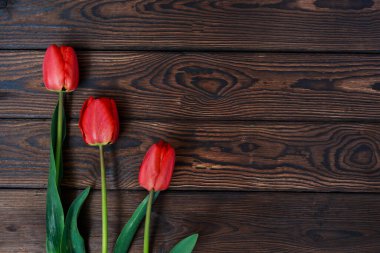 Eski kahverengi ahşap arka planda kırmızı, güzel laleler. Bahar konsepti Tasarım için doku yüzeyi. Yakın plan. Kartpostal şablonu. seçici odak