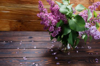 Siyah arka planda cam vazoda beyaz ve mor leylak dalları. Masanın üzerinde siyah arka planda çiçek açan leylağın bahar dalı. Masada düşmüş leylak çiçekleri.