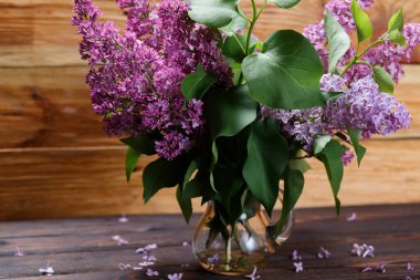 Mor leylak dalları cam vazoda, siyah arka planda, siyah ahşap arka planda. Masaya düşmüş leylak çiçekleri. Mesaj için yer var. Seçici odak. 