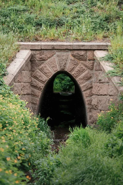 A light in the end of a tunnel. Above the tunnel is a railway in front of green grass. Many insects fly everywhere. A stream flows through the tunnel.