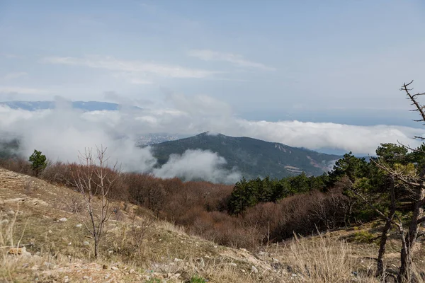 mountains above the clouds. how to spend a vacation in the mountains. to the mountains as a family. beautiful view