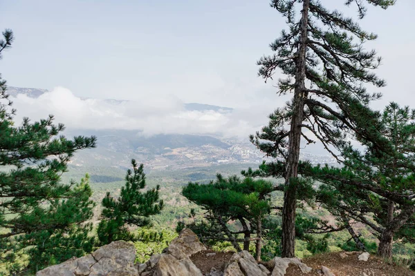 mountains above the clouds. how to spend a vacation in the mountains. to the mountains as a family. beautiful view