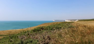 Deniz kenarı, beyaz uçurum manzarası. Yedi Kız Kardeş, İngiltere.