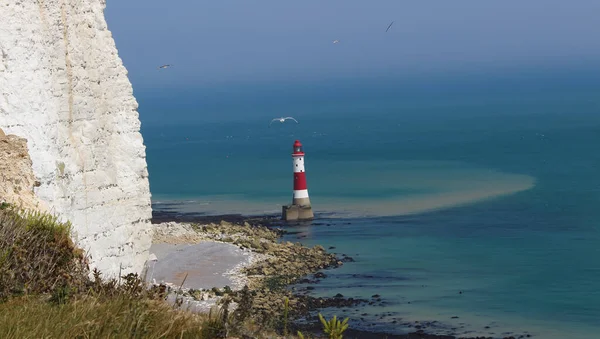 Seven Sisters England Lighthouse View Flying Birds — Stock Photo, Image