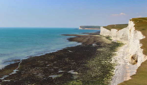 Sette Sorelle Inghilterra Scogliere Bianche Oceano Paesaggi Uccelli — Foto Stock