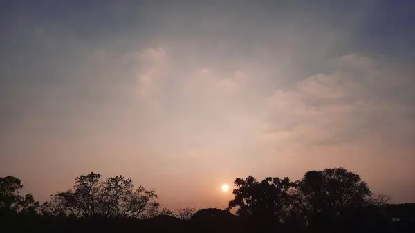 พระอาท ตกตอนเย องฟ าฉากสดใสกลางแจ งความงามต นไม — ภาพถ่ายสต็อก