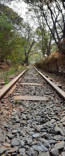 Colpo Basso Angolo Camion Strada Ferroviaria Andando Cielo Albero — Foto Stock