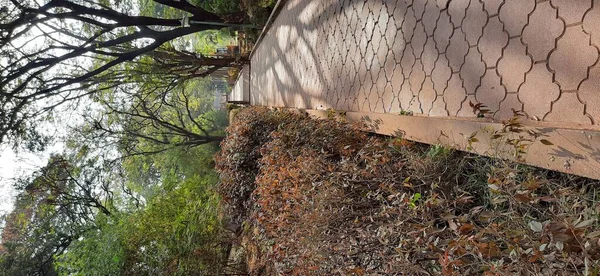 Bonita Limpia Acera Larga Estrecha Con Árboles Plantas —  Fotos de Stock