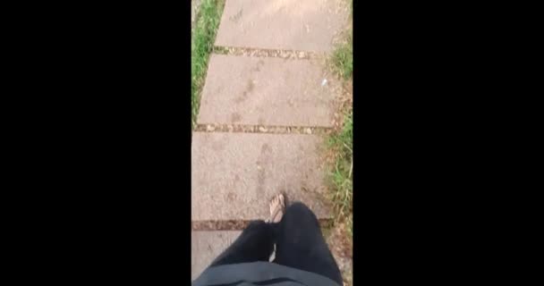 Joven Viajero Pantalones Verdes Paseos Botas Negras — Vídeo de stock