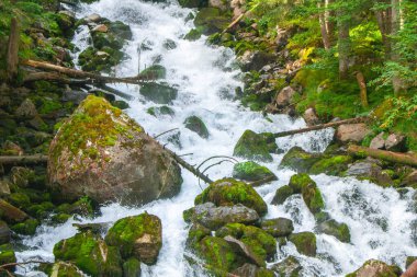 Katalonya 'nın kuzeyinde yer alan ormanın ortasında yeşil renkli görkemli şelale, İspanya.