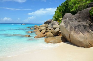 Granit taşlar, palmiye ve kaplumbağa mavisi su ile beyaz kum Seyşeller plajı.