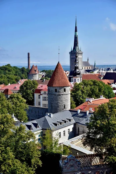 Widok na wieżę twierdzy na tle starych domów z dachami kaflowymi. W centrum Tallina. Estonia. — Zdjęcie stockowe