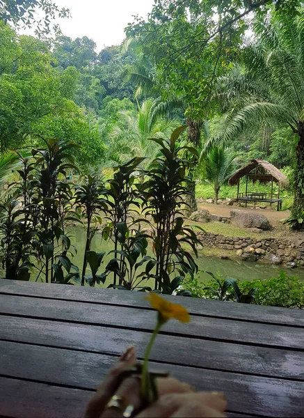 Tayland 'daki tropikal manzaranın dikey fotoğrafı, arka planda yeşil palmiye ağaçları ve ön planda çiçekli kadın eli. Turizm