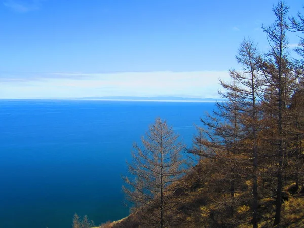 Paysage Avec Image Une Colline Couverte Pins Une Vue Sur — Photo