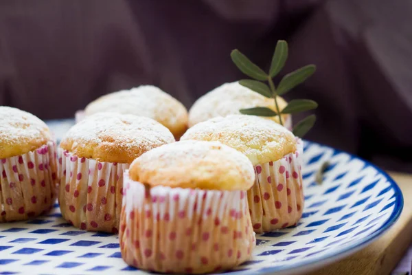 Γλυκό Σπιτικό Muffins Ψημένο Τυρί Cottage Μορφές Ζάχαρη Σκόνη Στο — Φωτογραφία Αρχείου