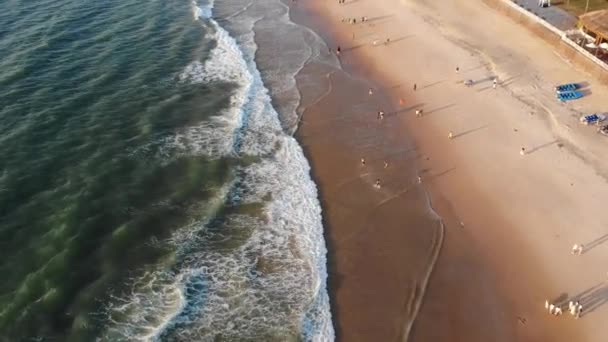 Vista aérea de Beach Wave North Goa, India — Vídeo de stock