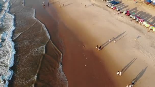 波とビーチの空中ビュー｜North Goa, India — ストック動画