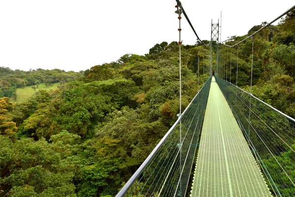 Kilátás Felfüggesztés Híd Esőerdő Alatt — Stock Fotó