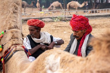 11 Kasım 2019, Pushkar, Rajasthan Hindistan. Pushkar, Rajasthan 'daki Pushkar fuarında iki deve satıcısı müşteri bekliyor..