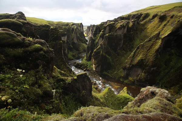 神奇的冰岛峡谷Fjadrargljufur峡谷 岩石覆盖着苔藓 峡谷底部有一条河 — 图库照片