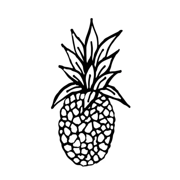 Διάνυσμα Φρούτων Στυλ Doodle Τροπικά Φρούτα Και Φρούτα Κήπου Ανανάς — Διανυσματικό Αρχείο