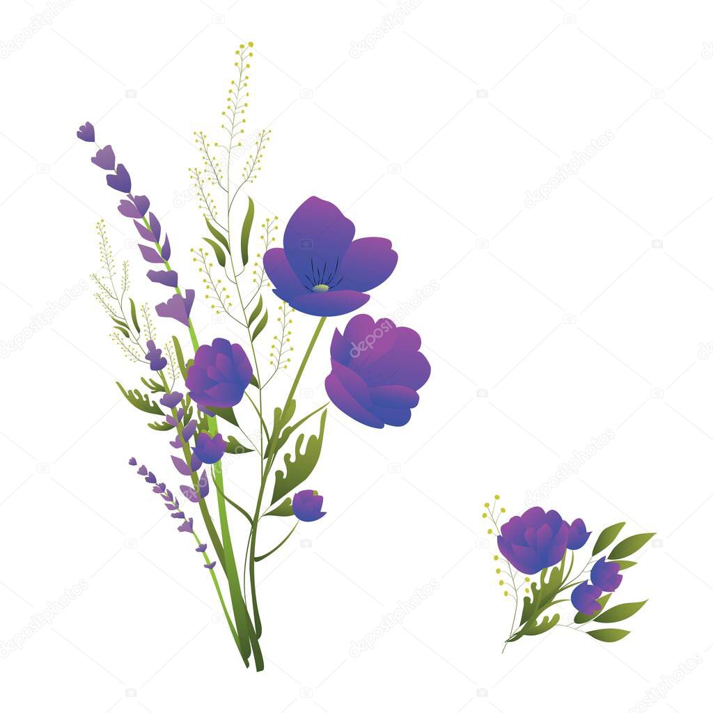 Wildflowers. Bouquets of lavender, ornamental foliage. Vector flowers in flute style. Design for wedding and print products. Design elements for canvas.