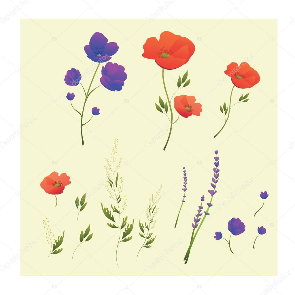 Red poppies. Poppy wreath. Wildflowers. Summer is coming. Vector illustration in flat style. Set of floral elements for design and decoration.