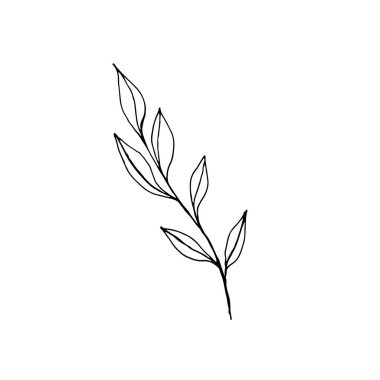 Tarla bitkileri, karalama tarzında çiçekler. Tasarım için stilize edilmiş çiçek nesneleri. Logo dekoratif dallar, broşürler, çiçekler..