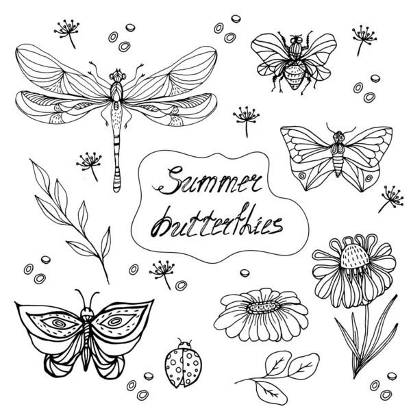 Set Vlinders Madeliefjes Doodle Stijl Zomerset Met Vlinders Insecten Planten — Stockvector