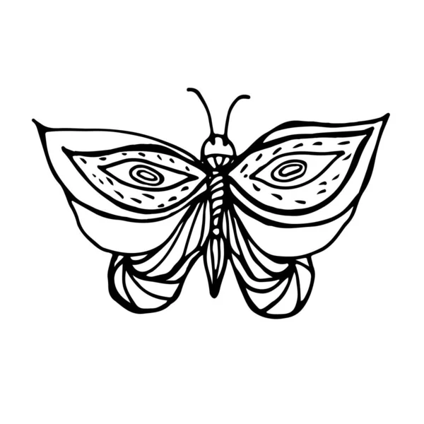Дракони Метелики Ромашки Каракулі Літній Набір Метеликами Комахи Рослини Ромашки — стоковий вектор