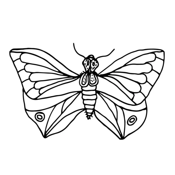 Dragonfly Butterflies Madeliefjes Doodle Stijl Zomer Set Met Vlinders Insecten — Stockvector