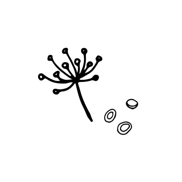 田里的植物 点缀式的花朵 用于设计的花形图案 标志装饰小枝 — 图库矢量图片