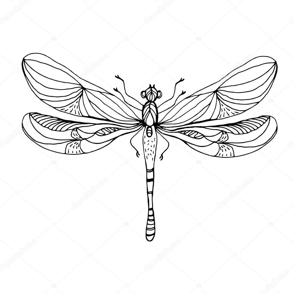  Dragonfly, Butterflies and daisies in doodle style, summer set with butterflies. Insects and plants. Daisies, summer, hams. Coloring pages for kids. Entertainment, hobbies and leisure.Vector design.