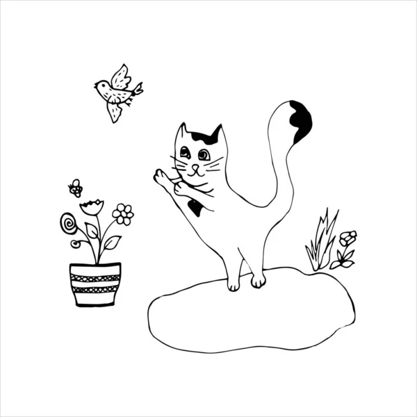 Cute Gato Dibujado Mano Gato Blanco Con Punto Negro Forma — Vector de stock