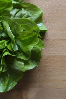 Yapraklı yeşil salata, organik, vejetaryen yiyecekler, otlar, sebzeler, doğa, yapraklar, su damlaları.