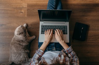 Defteri, bilgisayarı ve kedisi olan kadın. Freelancer evde kalıyor. Yukarıdan bak. - Çalışan ev konsepti