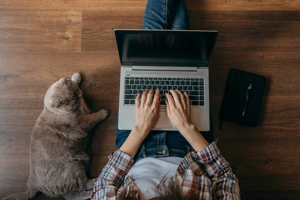 Defteri, bilgisayarı ve kedisi olan kadın. Freelancer evde kalıyor. Yukarıdan bak. - Çalışan ev konsepti