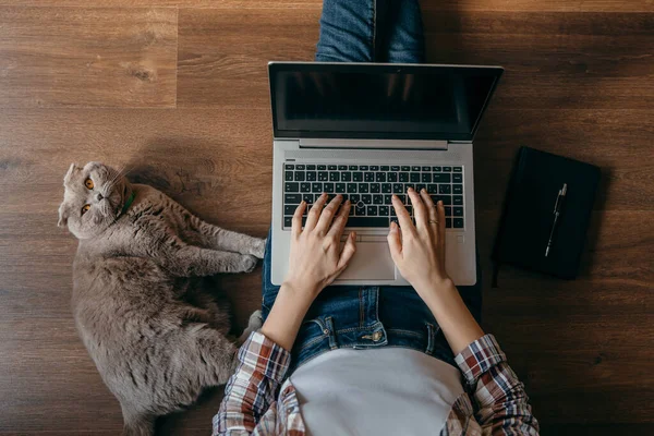 Žena Zápisníkem Laptopem Kočkou Freelancer Pobyt Doma Pohled Shora Práce — Stock fotografie