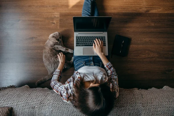 Mulher Com Notebook Laptop Brincar Com Gato Freelancer Ficar Casa — Fotografia de Stock