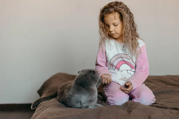Gadis Cantik Bermain Dengan Kucing Dengan Piyama Selama Karantina Covid — Stok Foto