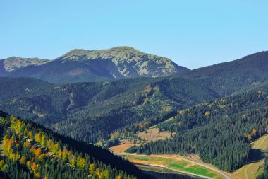Muhteşem panoramik manzara güçlü Karpatlar 'daki kozalaklı orman ve güzel mavi gökyüzü arkaplanı.. 