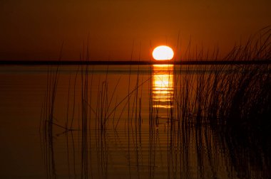 Hermoso atardecer on los Esteros del Ibera