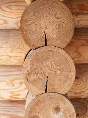 Çatlak ahşap bir ev.