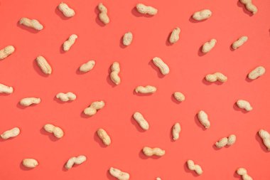 Fıstık fındık lay düz desen