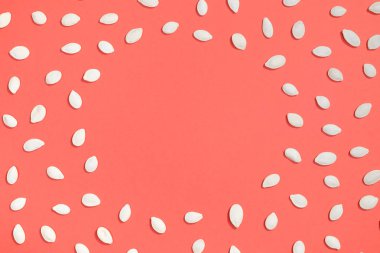 Kabak Çekirdeği düz beyaz yatıyordu