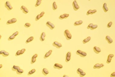 Fıstık fındık lay düz desen