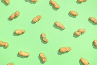 Fıstık fındık lay düz desen