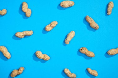 Fıstık fındık lay düz desen