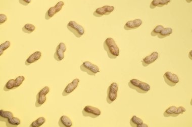 Fıstık fındık lay düz desen